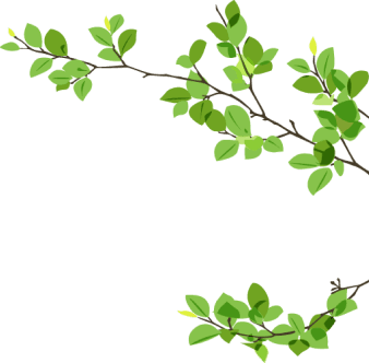 bg leaf
