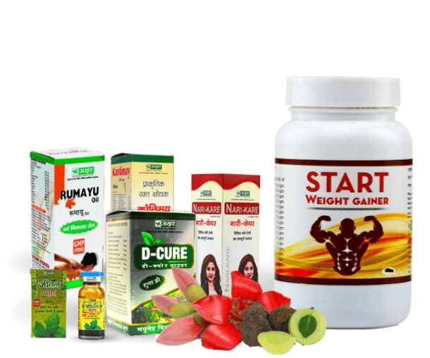 Organic herbal cultivation at Akshar Ayurved farmhouse